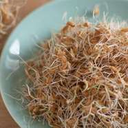 چگونه در خانه جوانه گندم تهیه کنیم؟