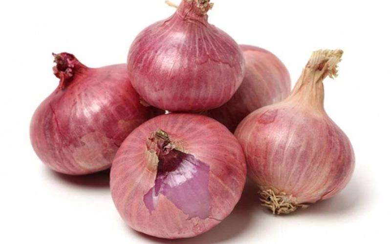 شلوت یا شالت