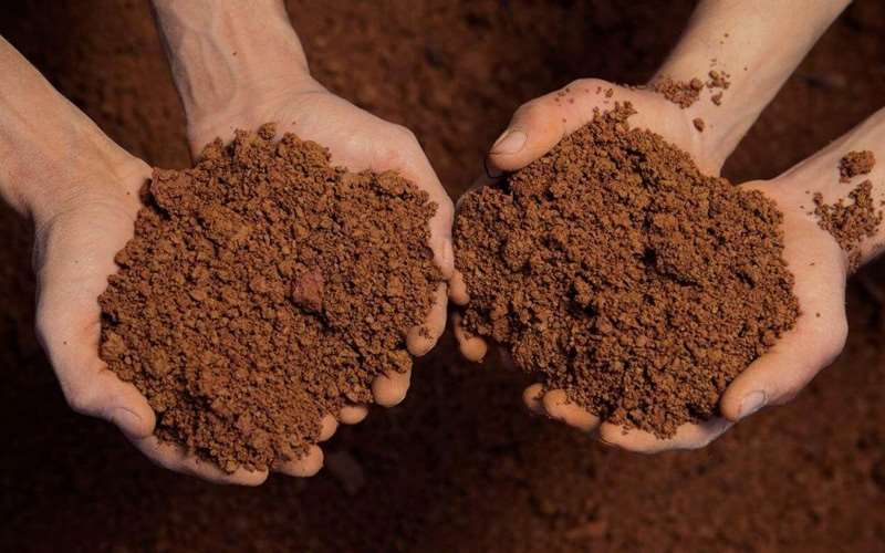 انواع خاک مناسب برای گلدان و گیاهان آپارتمانی