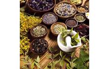 معرفی خواص و فواید گیاهان دارویی