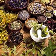 معرفی خواص و فواید گیاهان دارویی