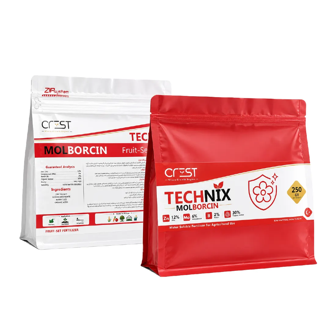 MOLBORCIN (Fruit Set) – Fardad Tejarat Zino