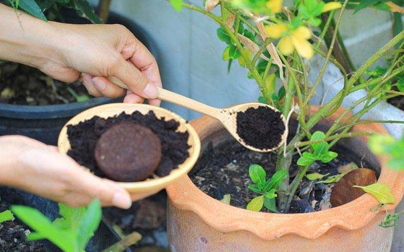 کودهای آلی یا ارگانیک