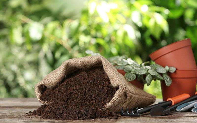 کودهای آلی یا ارگانیک