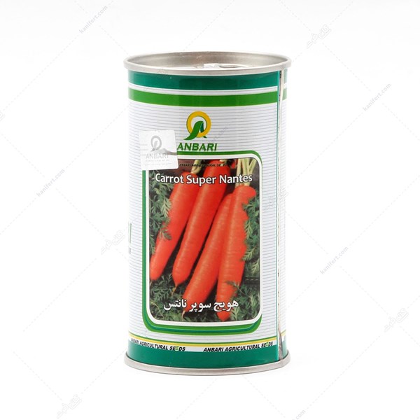 Super Nantes Amber Carrot Seed