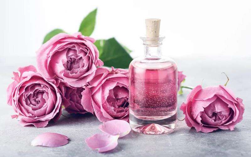 خاصیت های بی نظیر گلاب