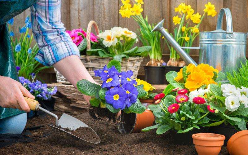 ۱2 ابزار ضروری باغبانی برای مبتدیان