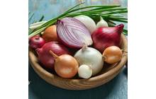 آشنایی با انواع پیاز و کاربرد آن ها در آشپزی