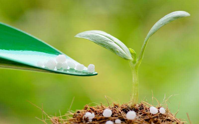 تاثیر پتاسیم بر خاک و گیاهان