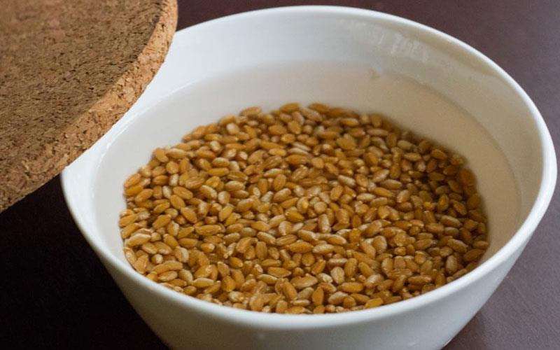 خیس کردن گندم ها